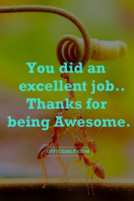 40 Friendly Appreciation Quotes for Good Work - Office Salt