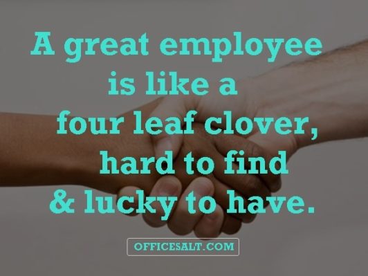 40 Friendly Appreciation Quotes For Good Work Office Salt 7298