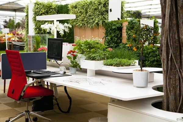 40 Refreshing Indoor Office Garden Ideas – Office Salt