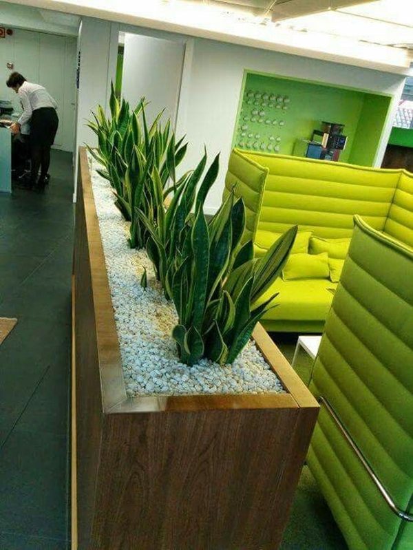 Refreshing-Indoor-Office-Garden-Ideas