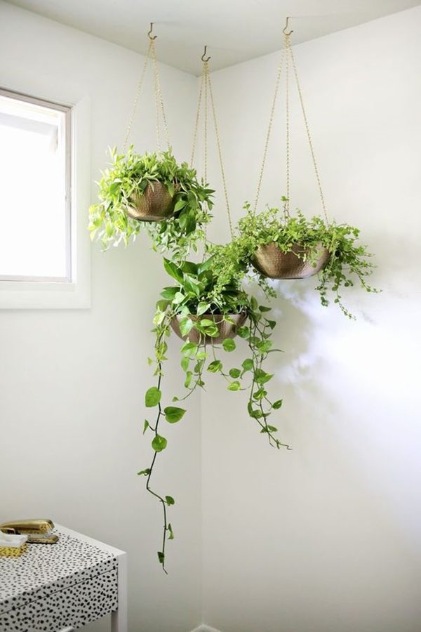 Refreshing-Indoor-Office-Garden-Ideas